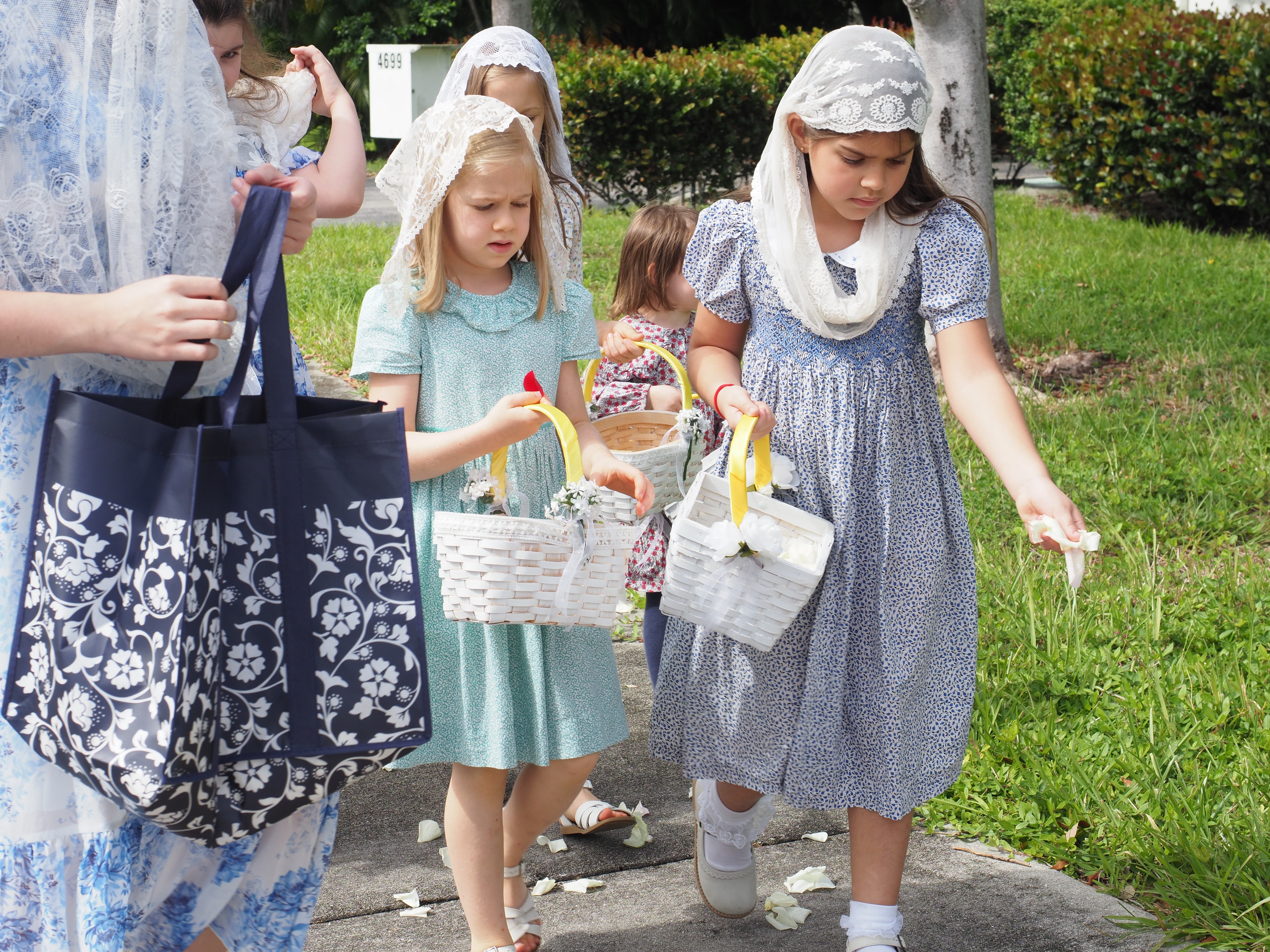 Feast of Christ the King 2024 25