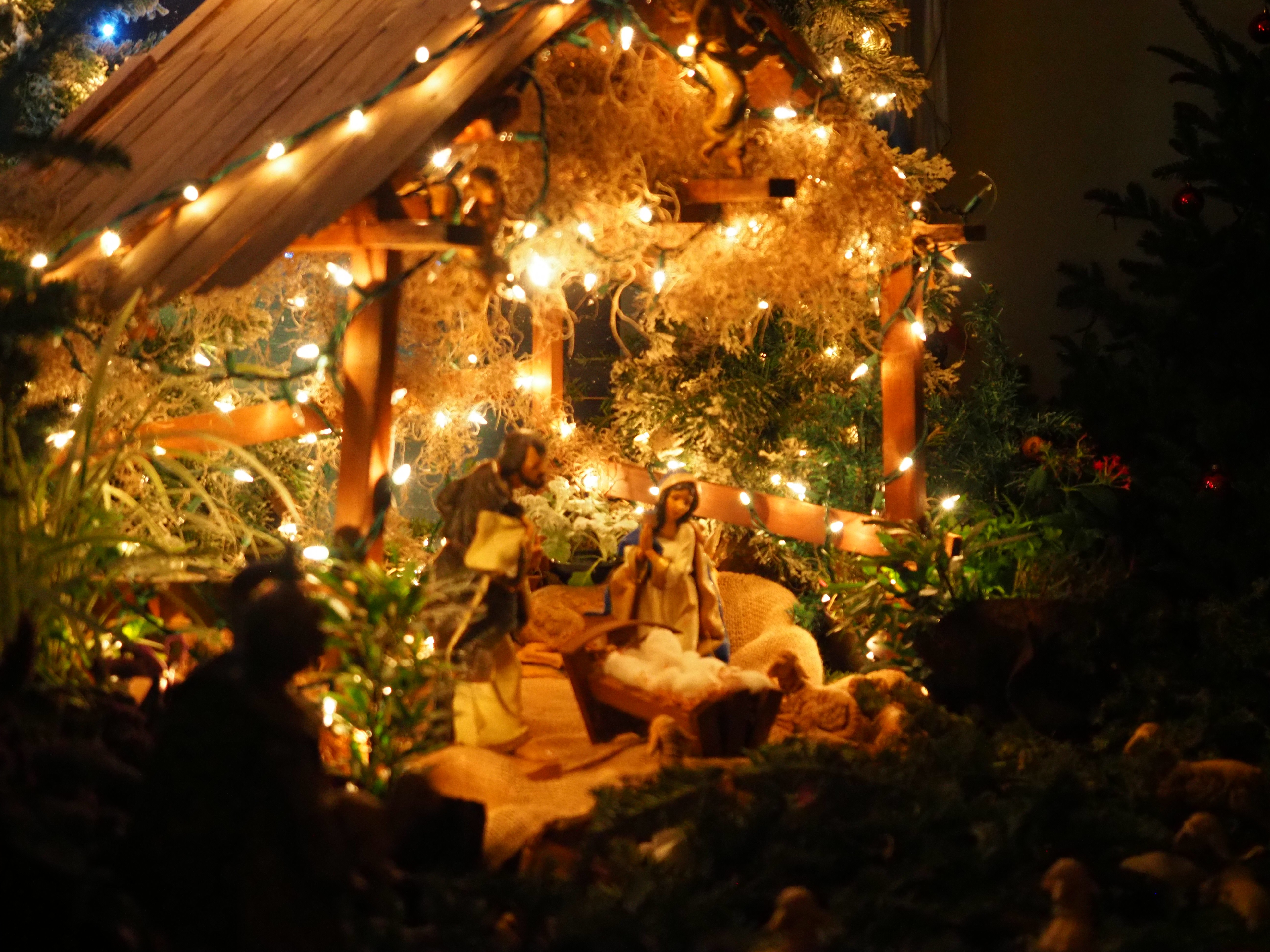 Christmas Midnight Mass and First Communion 1