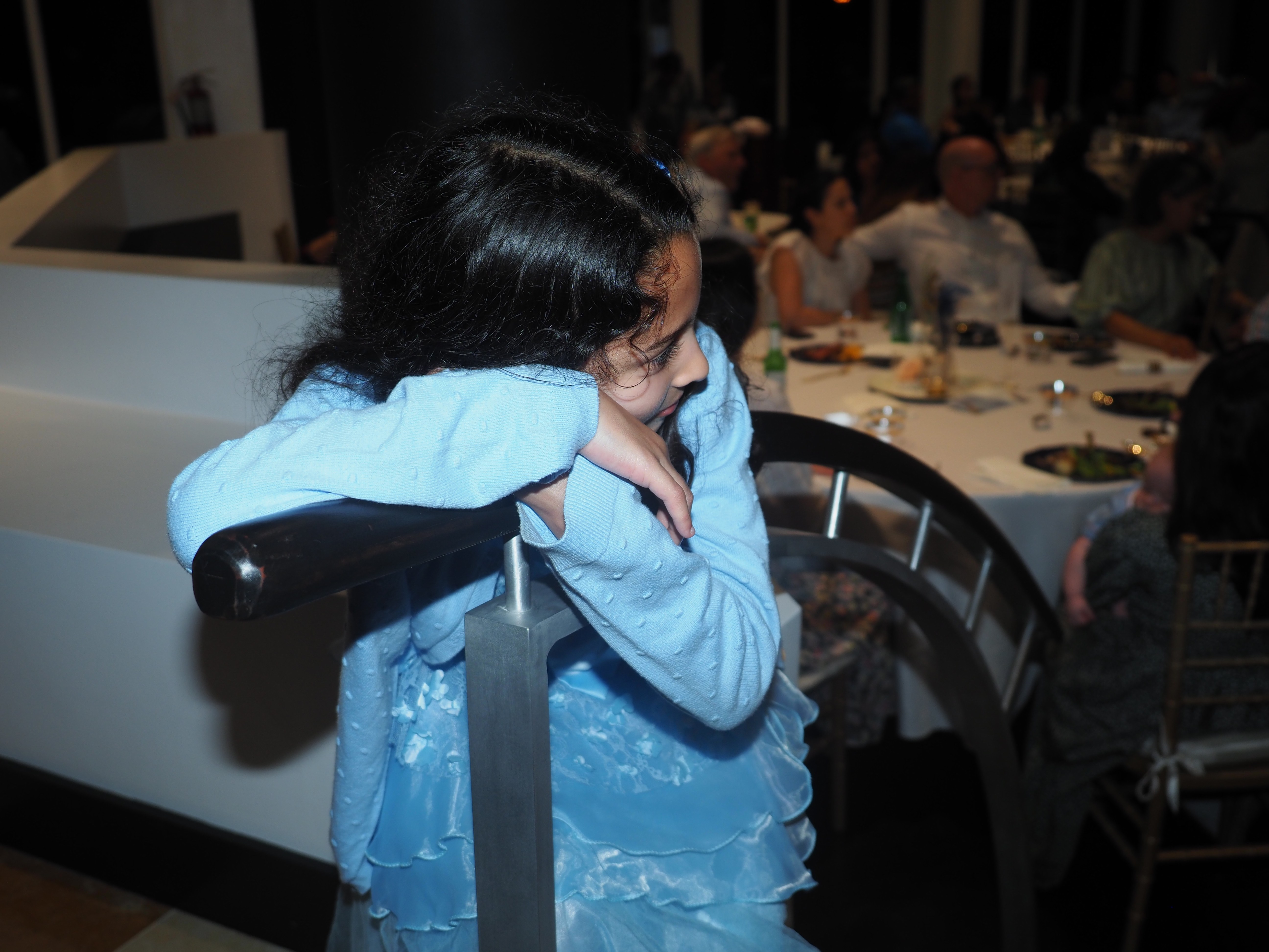 Fundraiser Dinner and Gala 2025 106