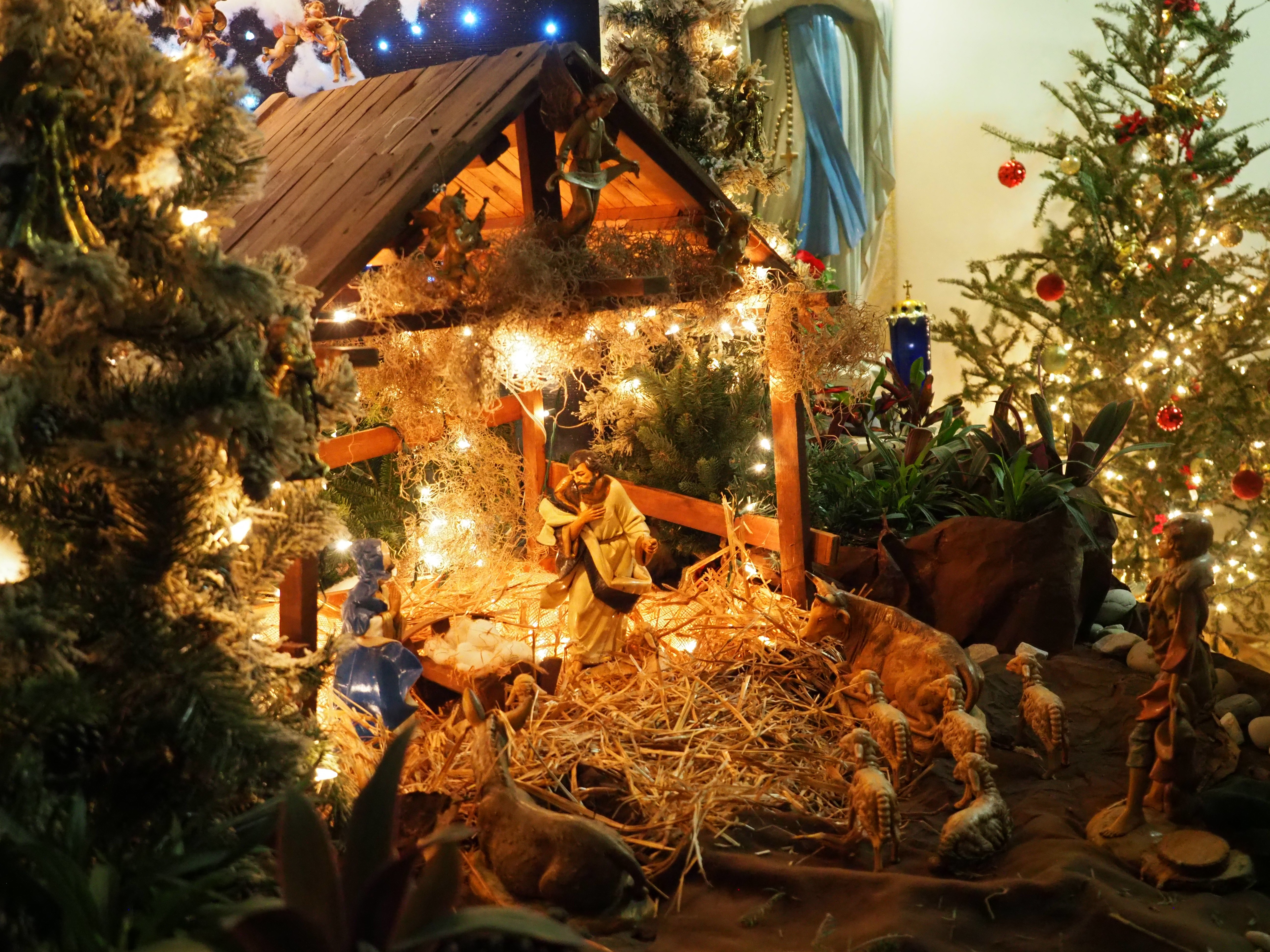 Feast of the Nativity of Our Lord 1