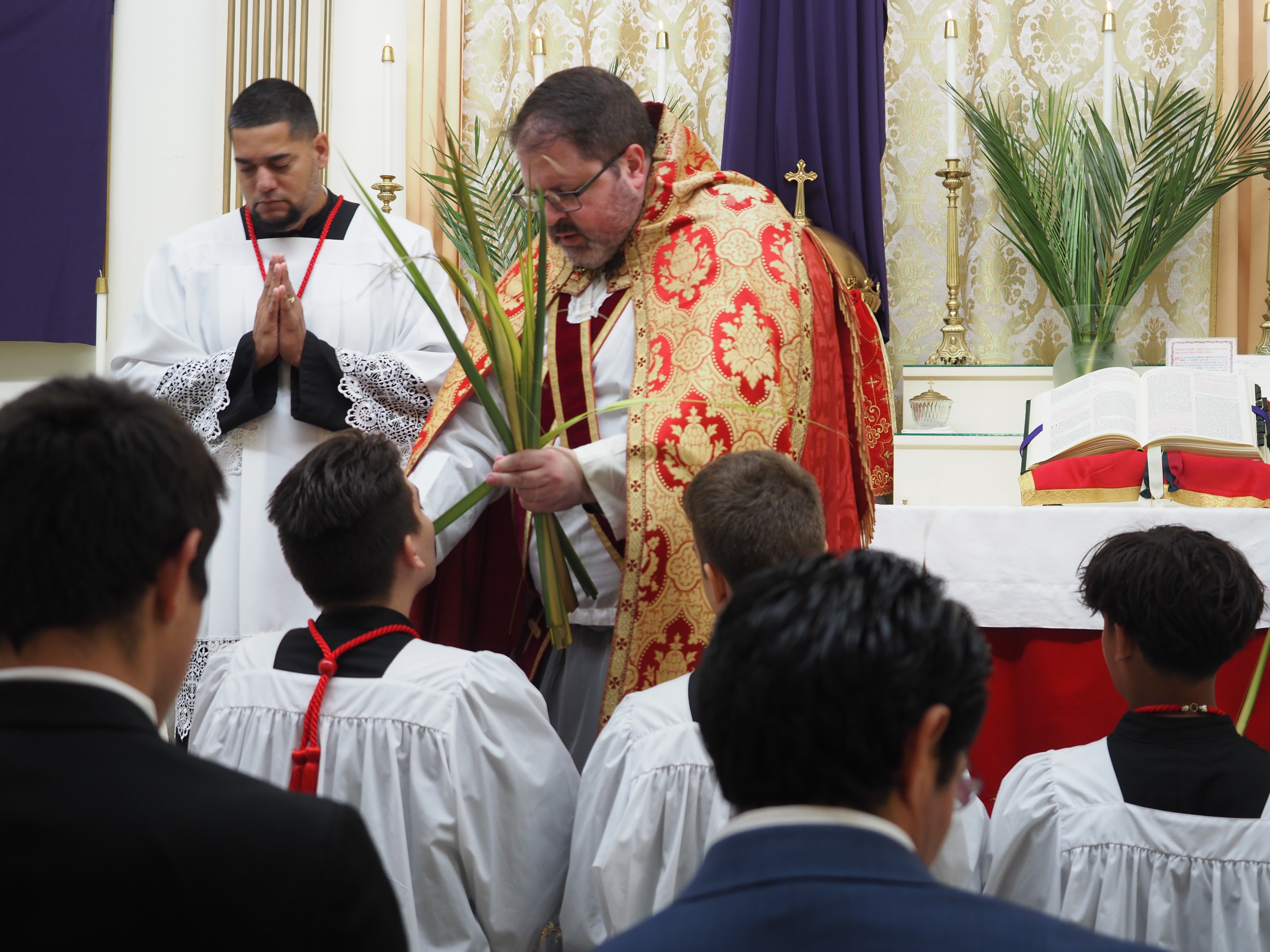 Palm Sunday 4